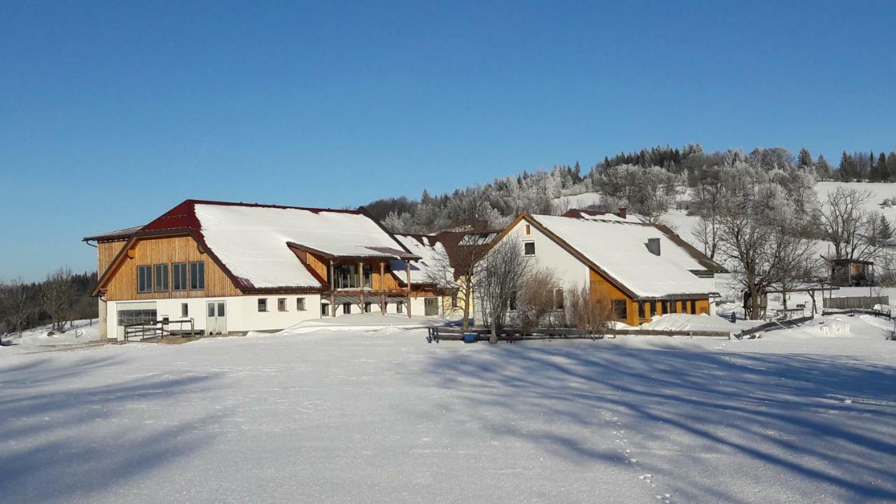 Oetscherblick Fam Winter Frankenfels Экстерьер фото
